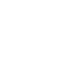 Bitcoin Gold (BTG)