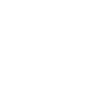Lisk (LSK)